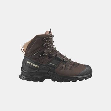 Picture of SALOMON - QUEST 4 GTX W
